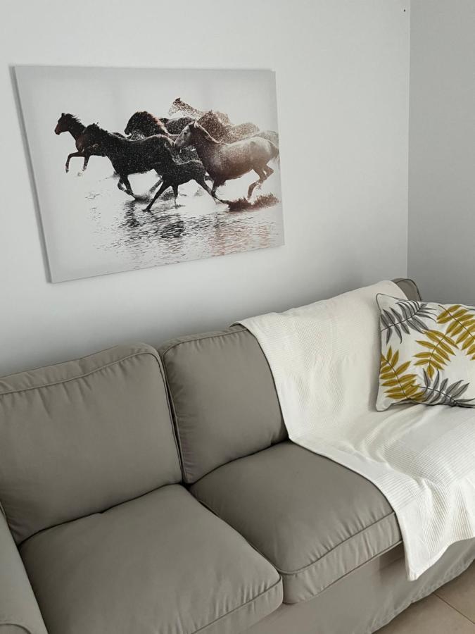 Sherry Suites VI Apartamentos Parking Gratuito Херес де ла Фронтера Екстериор снимка